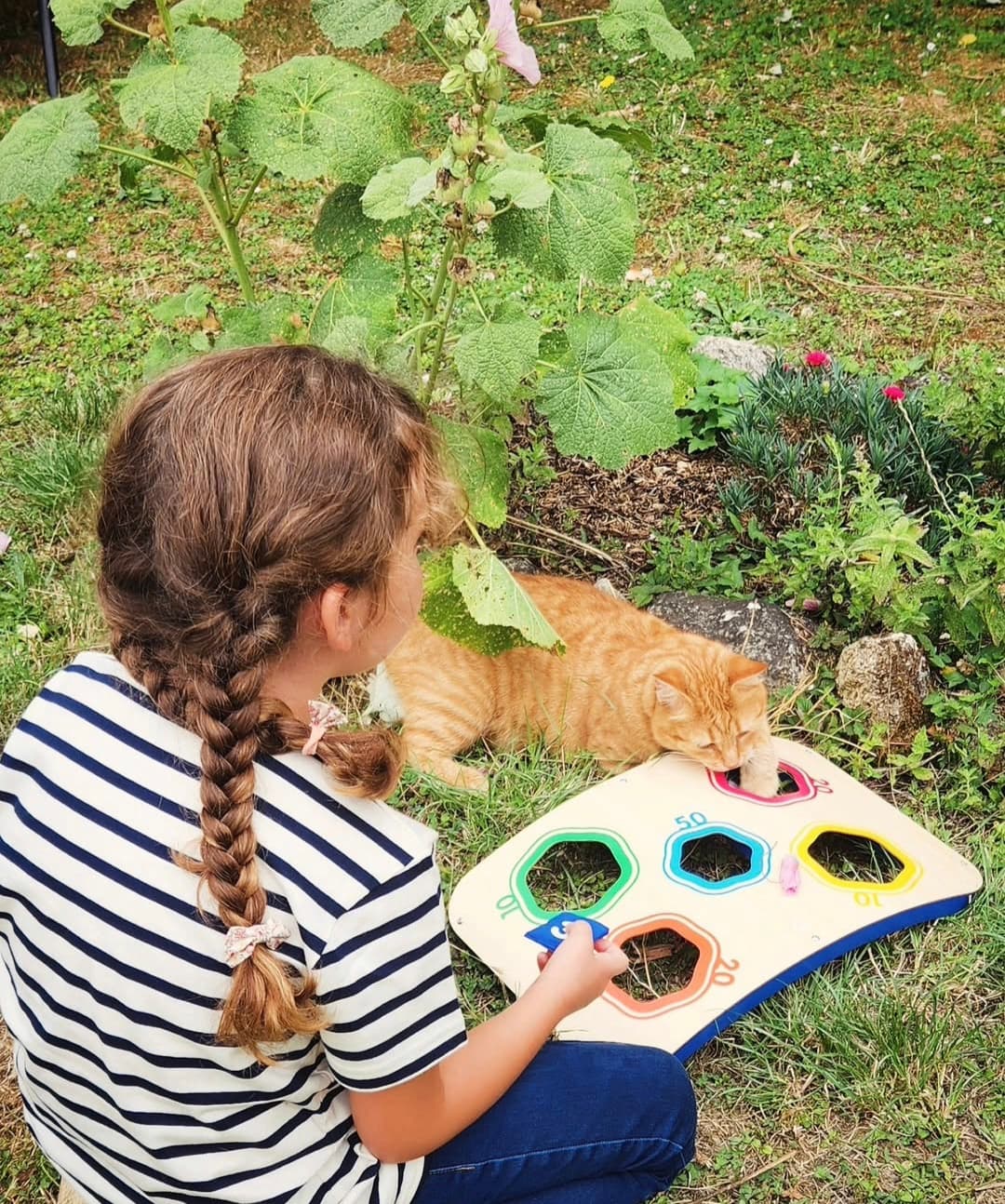 Moment dans le jardin en compagnie du chat de la maison